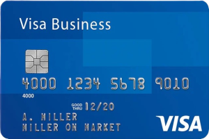 Visa Business 100$